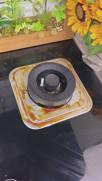 Escova elétrica TurboClean + 5 bocas